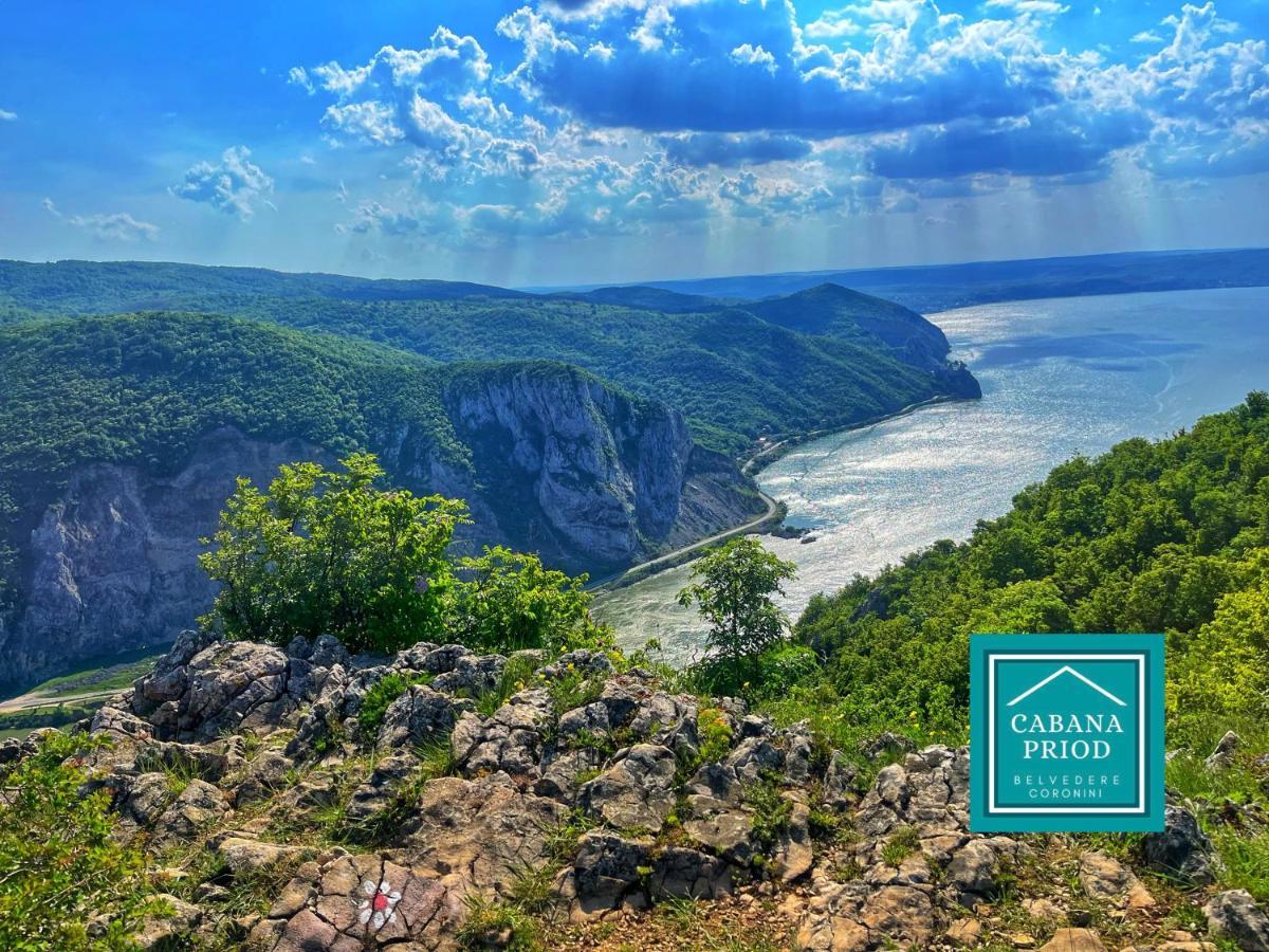 Cabana Priod Coronini Villa Lászlóvára Kültér fotó