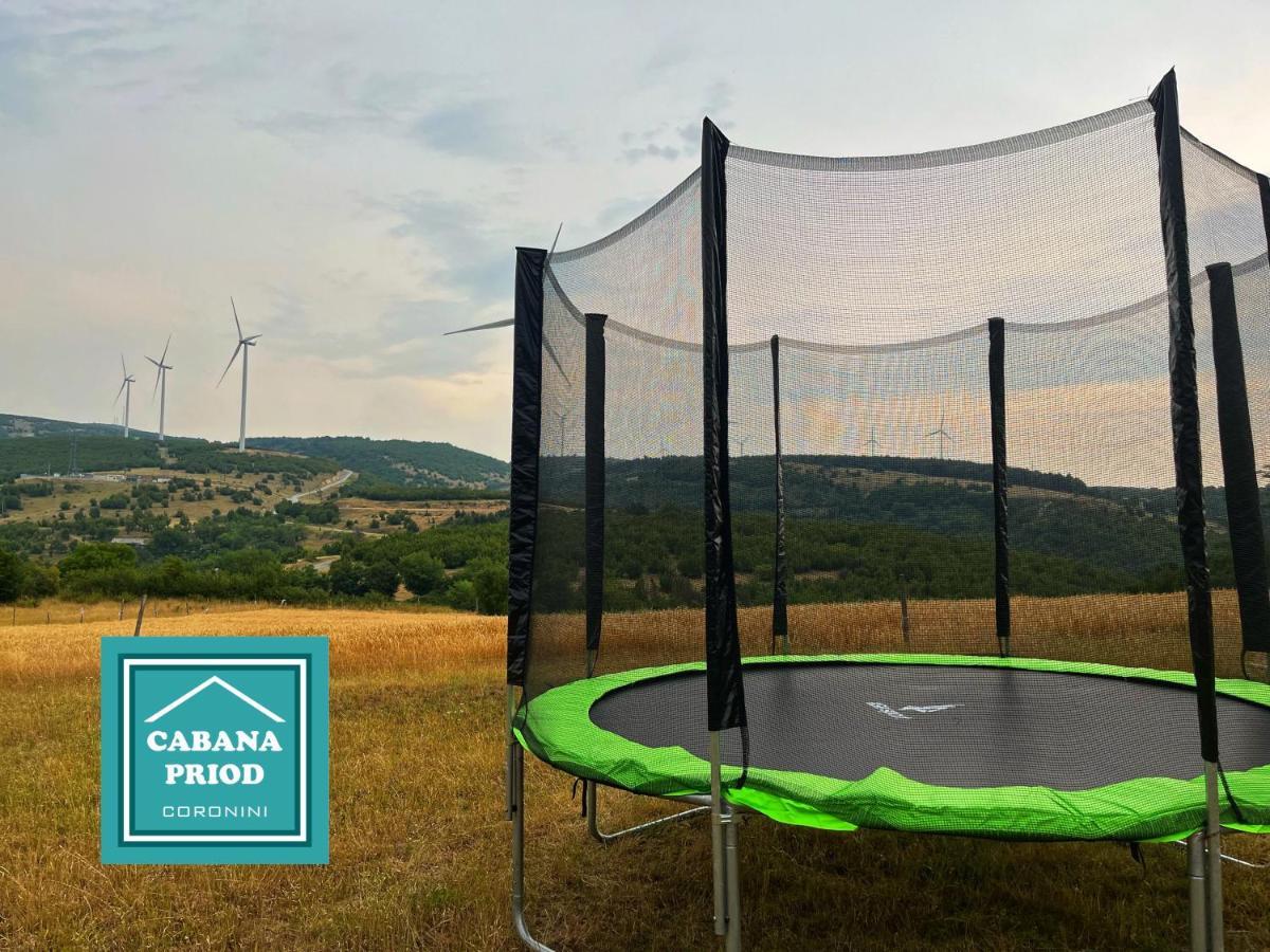 Cabana Priod Coronini Lászlóvára Kültér fotó
